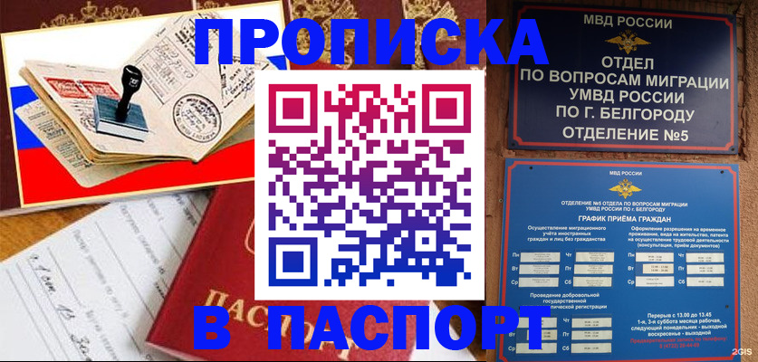 купить прописку в Тогучине